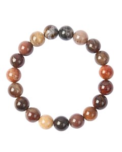 10mm Petrified Wood Bead Bracelet (1pc)