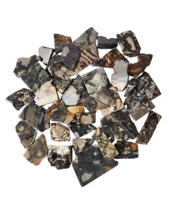 Silver Leaf Jasper Freeform Slabs, 4/15mm x 30/70mm (KGS)