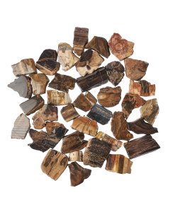 Petrified Wood Freeform Slabs, 4/15mm x 30/70mm (KGS)