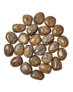 Bronzite Tumblestone Refill (25pcs)