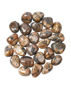 Chiastolite Tumblestone Refill (25pcs)