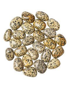 Dalmation Jasper Tumblestone Refill (25pcs)