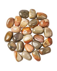 Polychrome Jasper Tumblestone Refill (25pcs)