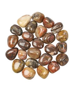 Bamboo Leaf Jasper Tumblestone Refill (25pcs)