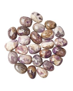 Dog Tooth Amethyst Tumblestone Refill (25pcs)