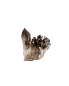 Smokey Quartz Cluster (Arkansas) (Iradiated) 1-1.5" (1pc) NFD