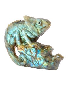 Labradorite Chameleon Carving 2.5x1x2.75" (3.25")