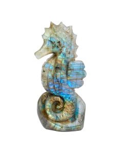 Labradorite Seahorse in Relief 3x1.5x0.75" (1pc)