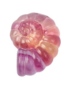 Fluorite Ammonite, 4cm (1pc) NFD