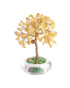 Citrine Gem Tree with Clear Bowl (1pc) NFD