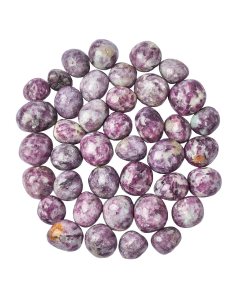 Lepidolite Tumblestones (KG) NFD