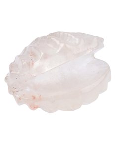 Quartz Crystal Shell (1pc) NFD