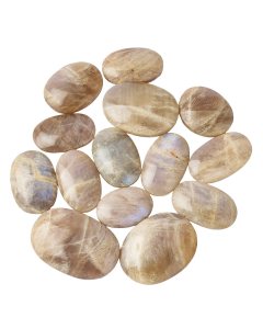 Moonstone Palmstones (kgs) NFD