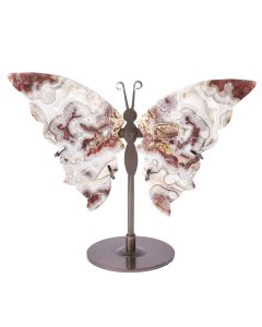 Crazy Lace Butterfly (1pc) NFD