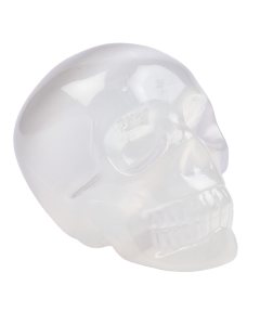 Selenite Skull (1pc) NFD