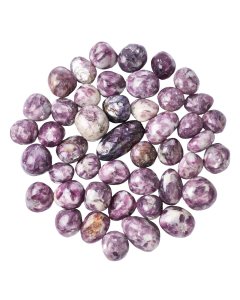 Lepidolite Mica Tumblestones (KG) NFD