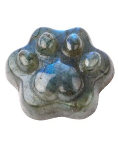 Labradorite Paw Print (1pc) NFD