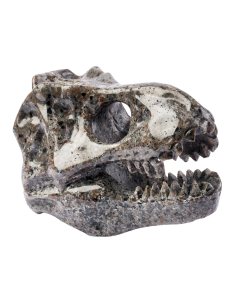 Yooperlite Dinosaur Skull (1pc) NFD
