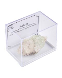 Prehnite in Plastic box with ID card (1pc)