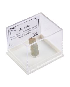 Apatite in plastic box with ID card (1pc)