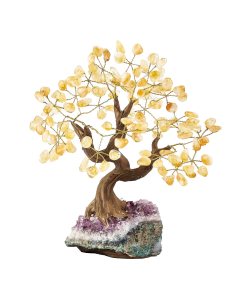 Citrine Bonsai Tree on Amethyst base, (1pc) NFD