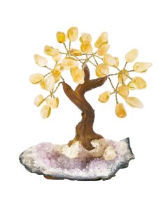 Citrine Bonsai Tree on Amethyst base, 7 branches (1pc) NFD