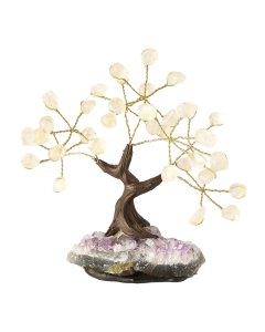 Rock Crystal Bonsai Tree on Amethyst base, 7 branches (1pc) NFD
