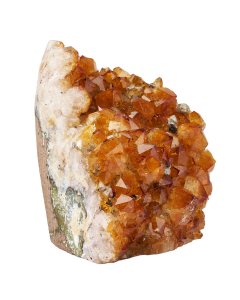 Citrine Cut Base Large (1pc) NFD