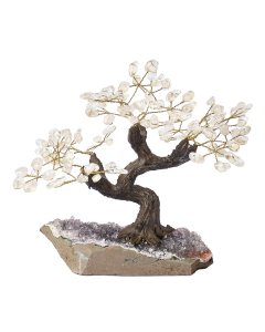 Quartz Crystal Bonsai Tree, 24 Branches (1pc)