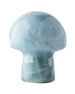 Larimar Mushroom 3.5 - 6g (1pc) NETT