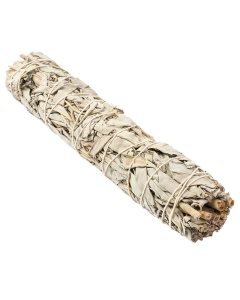 White Sage Smudge Stick 9", USA (1pc) NFD