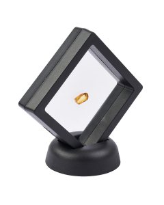 Insect in Amber (up to 0.5gram/pc) in 7cm Floating Frame