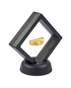 Insect in Amber (1-1.5gram/pc) in 7cm floating frame