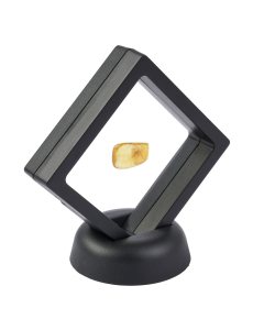 Insect in Amber (0.5-1grams) in 7cm floating frame (1pc)