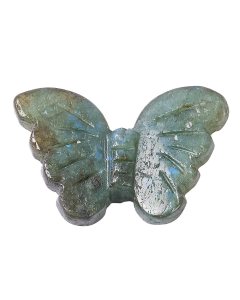 Labradorite Butterfly, 3.5cm (1pc) NFD