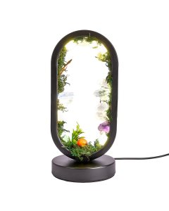 Crystal Garden Oval USB Desk Lamp (1pc) NFD