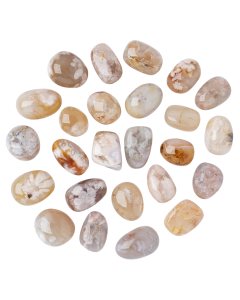 Flower Agate Tumblestone Refill (25pcs) NETT