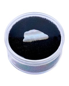 White Fire Opal, Mexico 10-20mm (1pc)