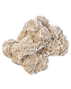 Sandrose 2-3kg/pc, Mexico (1pc) NETT