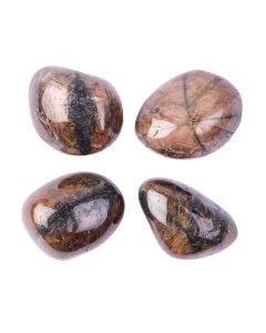 Chiastolite Cross Large Tumblestone 30-40mm (100g) NETT