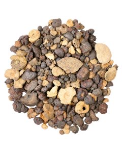 Hematite Ammonites Fossils Rough (1kg) NETT