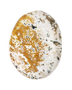 Orbicular Jasper Palmstone approx. 40-60mm (1pc)