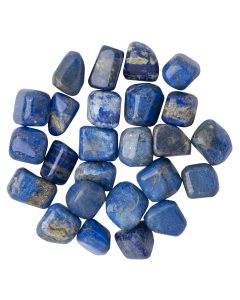 Lapis Lazuli Tumblestones (25pc) NETT