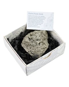 Pyrite Chispa Rough in Gift Box with ID Card (1pc) NETT