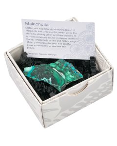 Malacholla Slice in Gift Box (1pc)