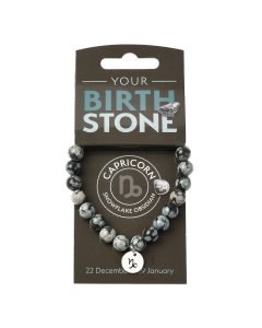 CAPRICORN Snowflake Obsidian Birthstone Bead Bracelet with Charm (3pc) NFD