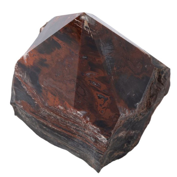 Petrified Wood Top Polished Point 100-200g, India (1pc) 