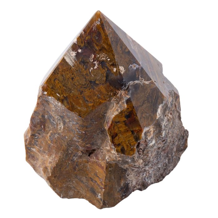 Petrified Wood Top Polished Point 200-300g, India (1pc) 