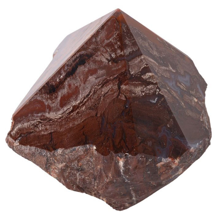 Petrified Wood Top Polished Point 300-400g, India (1pc) 