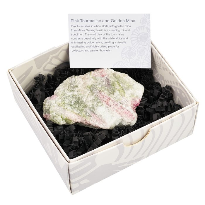 Pink Tourmaline with Golden Mica, large in Gift box with ID card (1pc)